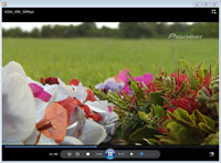 Pioneer Visual Material 