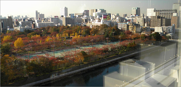 猿江恩賜公園とｈｐビル