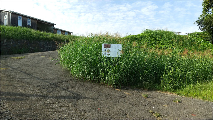 下総国分寺創建期に操業