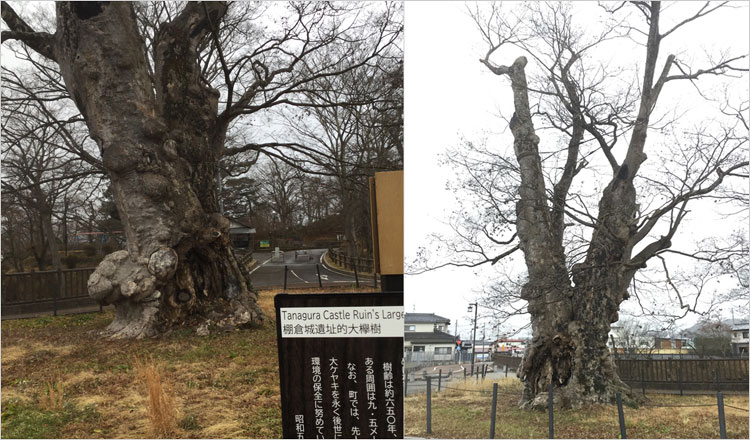 近津神社（近津明神）
