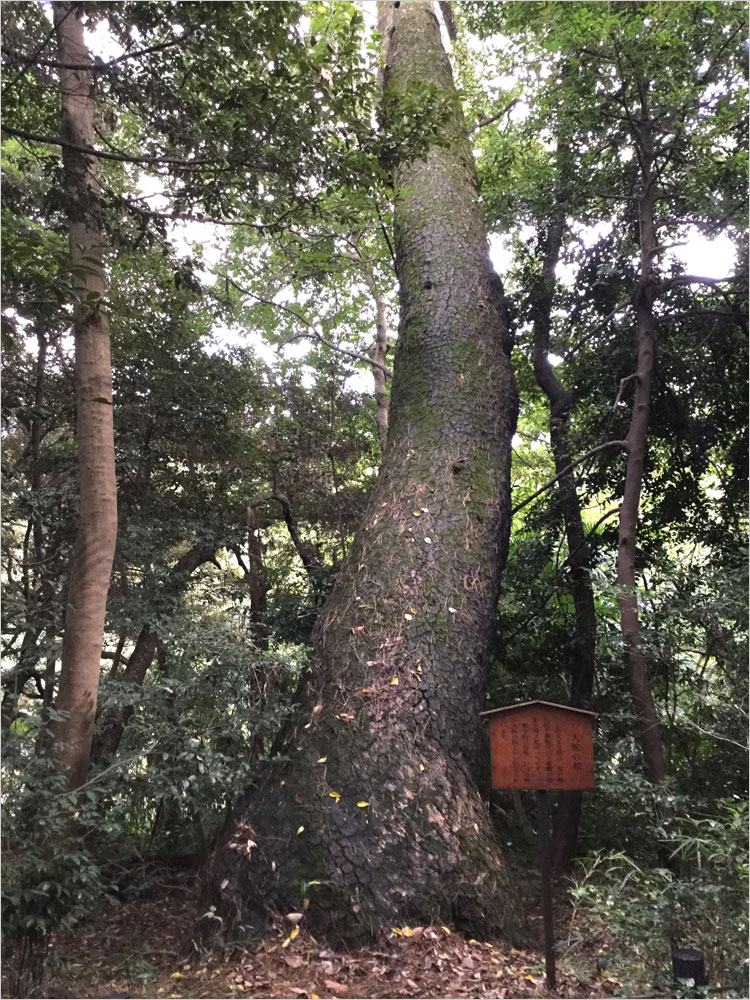 松平頼重（讃岐守）の下屋敷