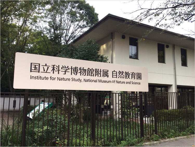 白金長者屋敷（しろがねちょうじゃやしき）