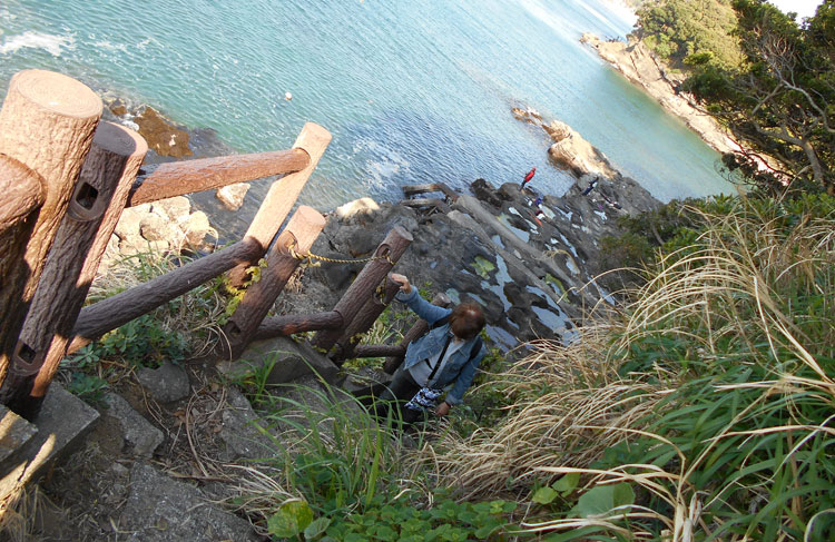 新井城のレポートとハイキング