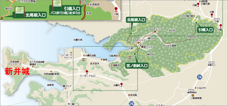 小網代の森ハイキングコース