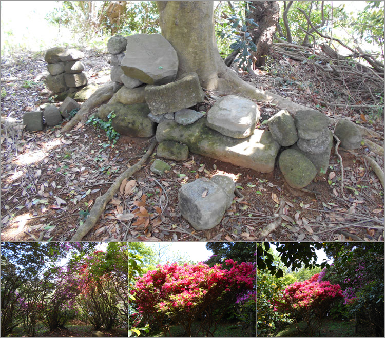 三戸友澄（みとともずみ）墓所-つつじ公園