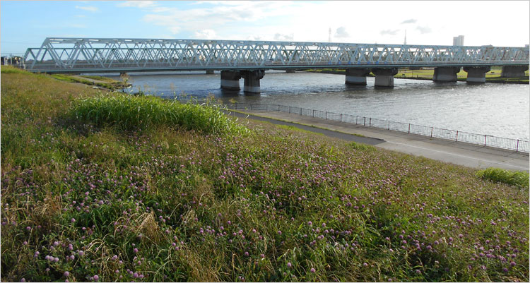 市川橋の旧名が江戸川橋