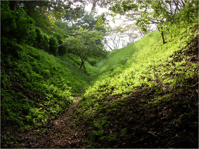 空堀が部分的な遺構ではない