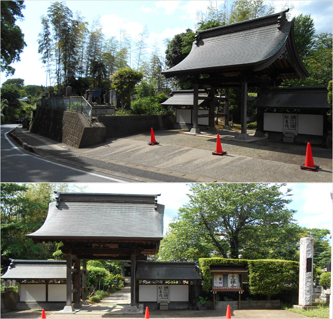 報恩寺が志津大口館