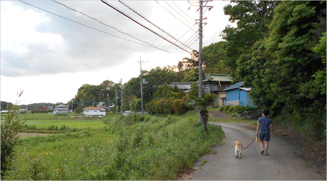 築城されたと考えられる先崎城