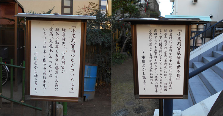 愛馬・鬼鹿毛が底なし沼を越えた鬼越