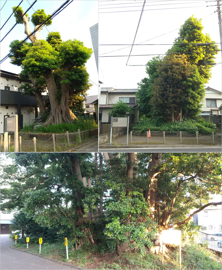 七天王塚が古墳である