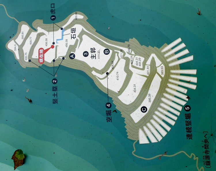 主郭を中心に竪土塁