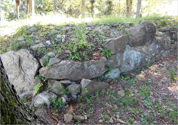 一部に石垣が見られる