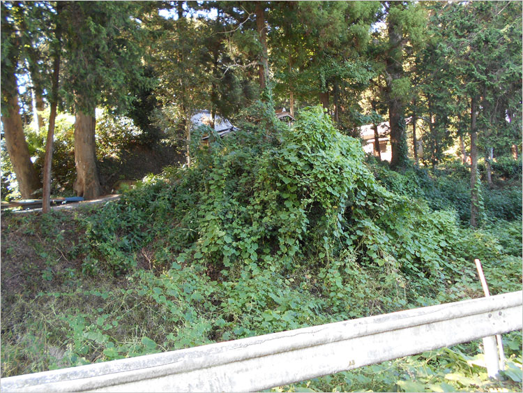 大手とされる虎口