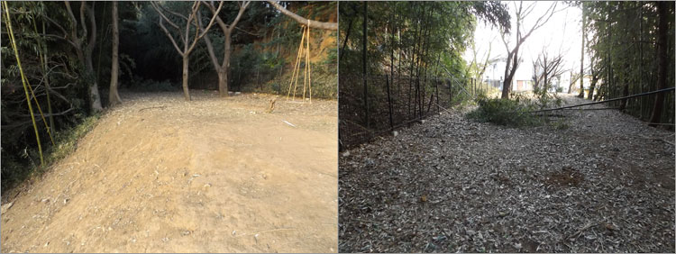 曽谷城の帯曲輪