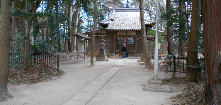 根頭神社の森（市民の森）