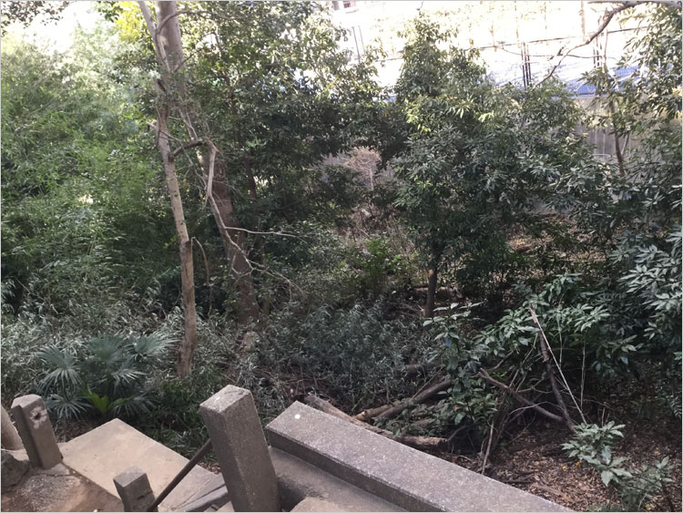 富士見櫓の堀底