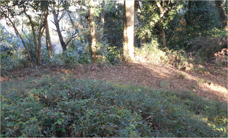 発掘調査で門の礎石や石敷き階段が見つかっている