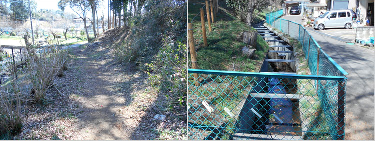 増尾「コウ城」にて討死