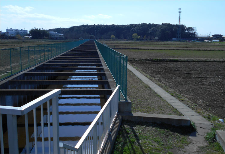 柏市増尾の増尾城（ますおじょう）