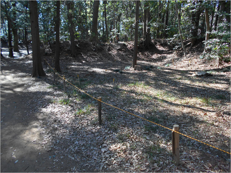 増尾城の主郭部