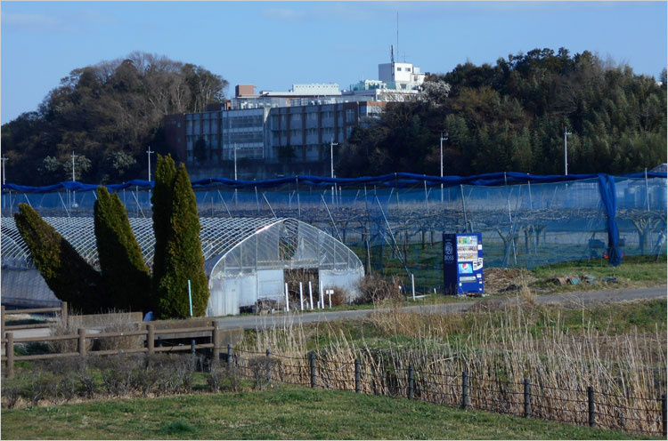 手賀沼病院の箕輪城