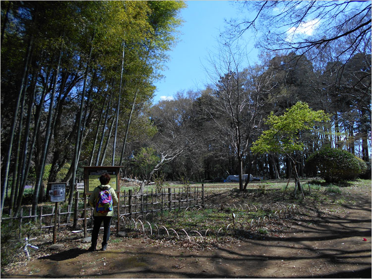 相馬氏の城館-増尾村