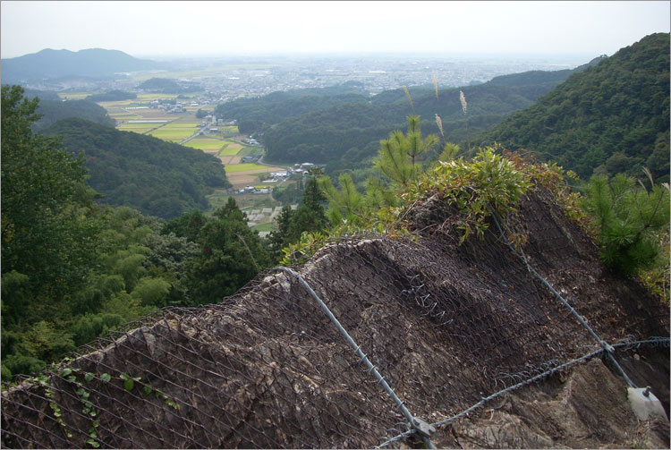 唐沢山城の戦い