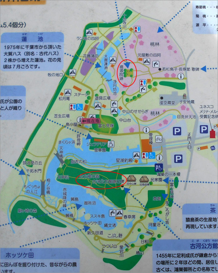 古河総合公園と古河公方館の配置