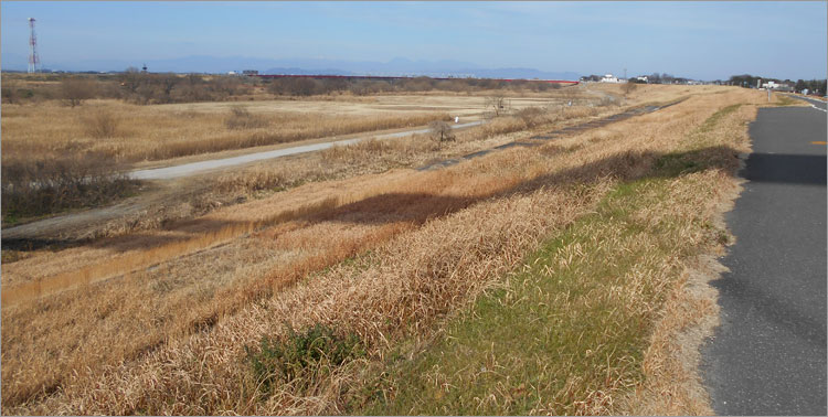 頼政曲輪からの眺望