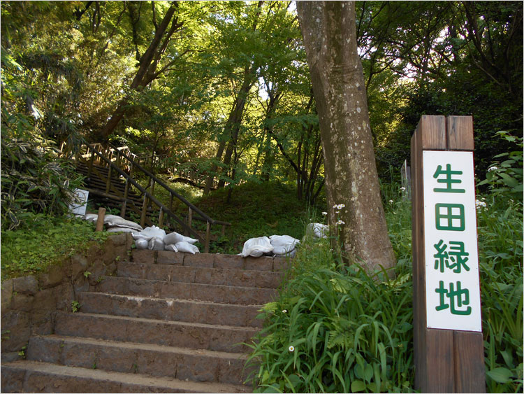 生田緑地の散歩