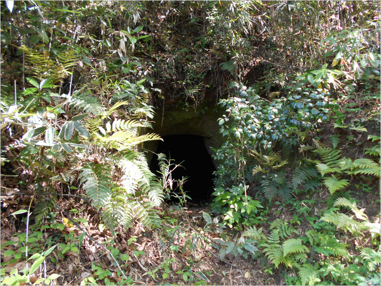 長者穴横穴墓群