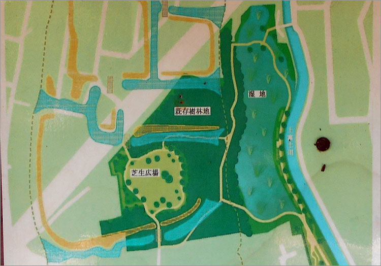 上富士川（改修後）と湿地帯