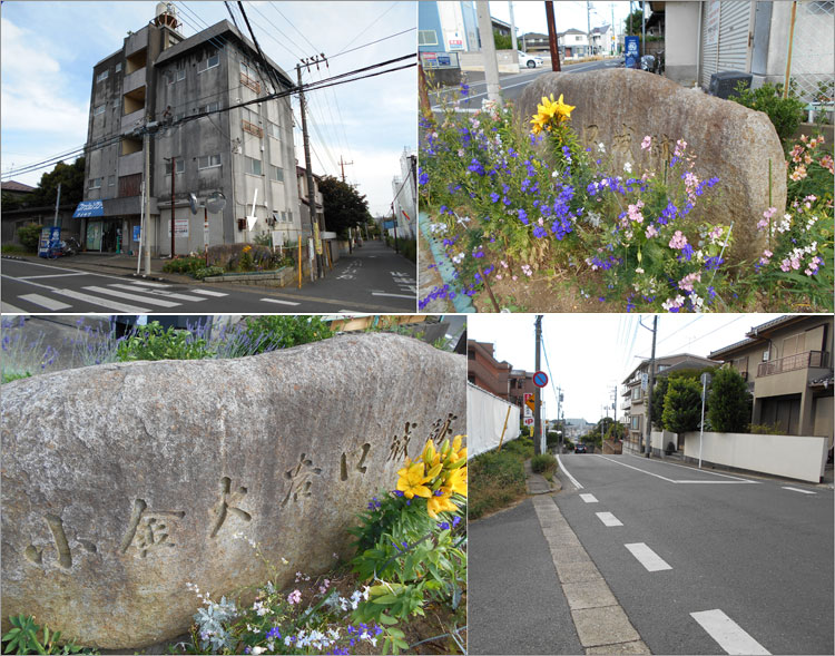 小金大谷口城跡