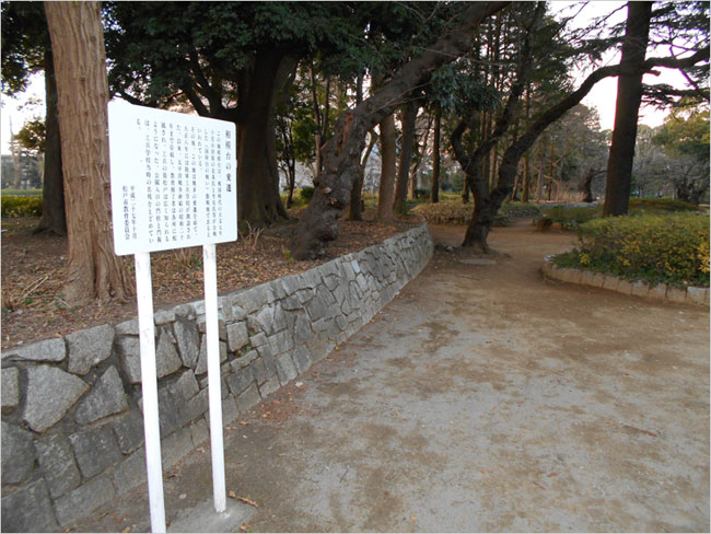 足利義明の討死