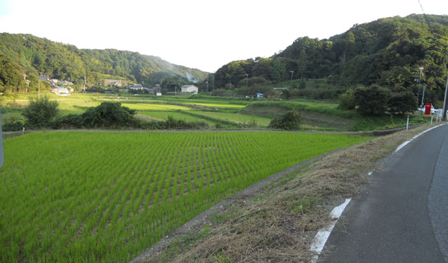 三舟山のハイキング画像