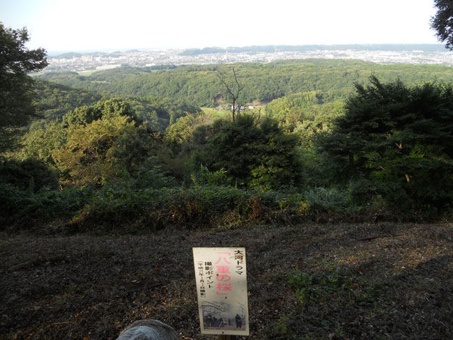 三舟山の八重の桜スポットへ