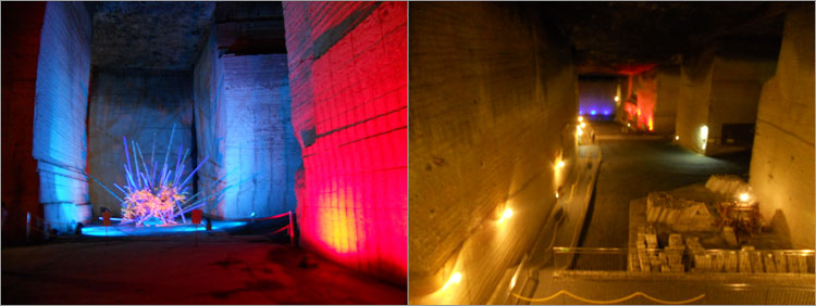 假屋崎省吾の花アート作品