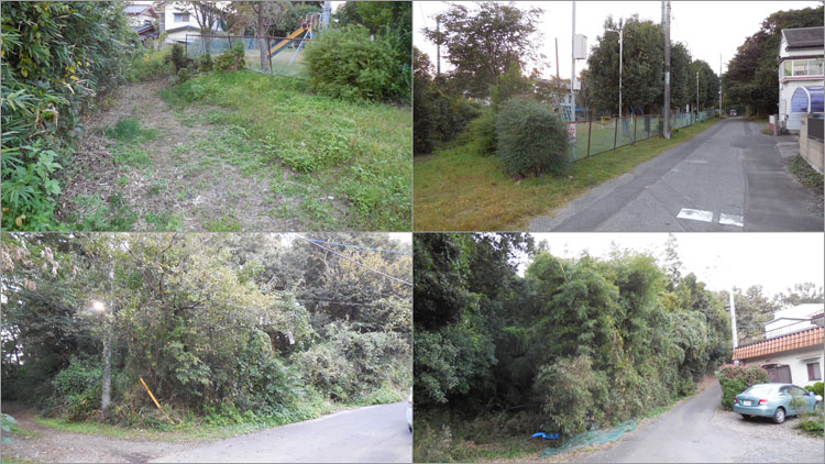 土塁らしき遺構小山義政の乱