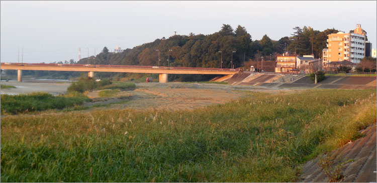 小山氏の城、祇園城