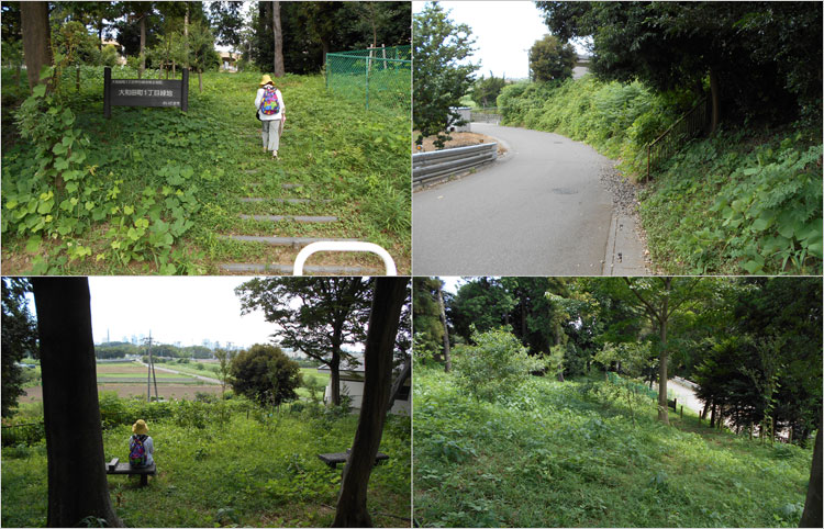 大和田町1丁目緑地