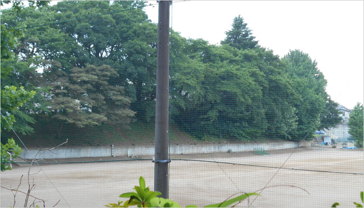 堀というか沼の跡