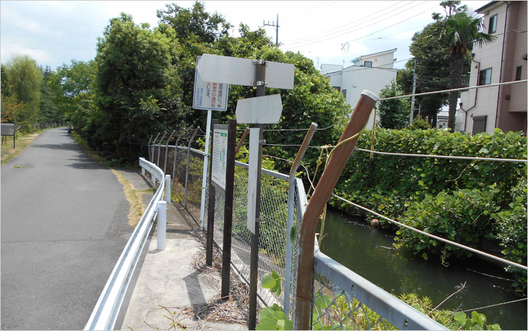 見沼代用水路西縁