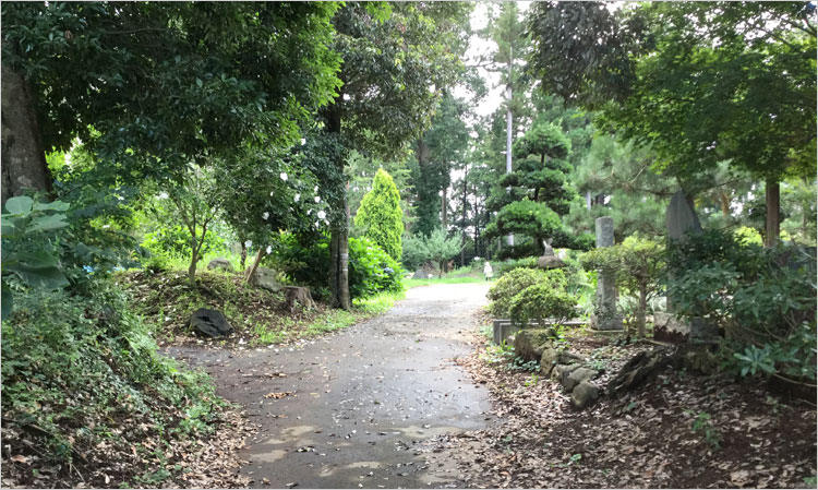 正面突き当りが小篠塚城本丸虎口