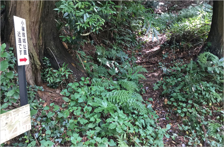 城郭を散策しながら登城できるルート-小篠塚城