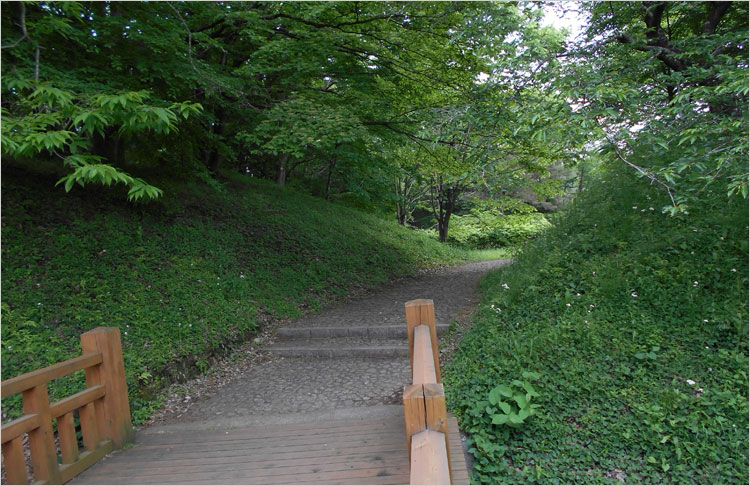 横矢掛けの構造