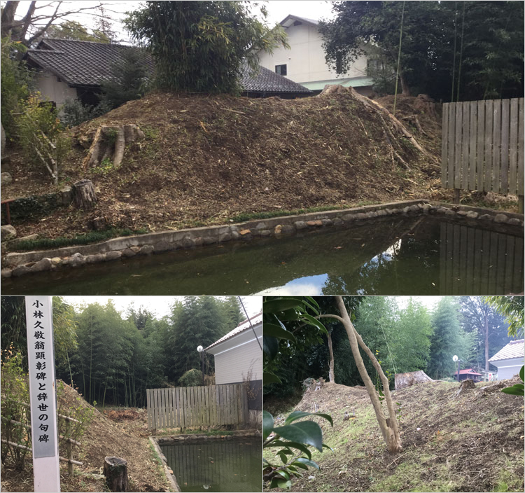 土塁が残されていた