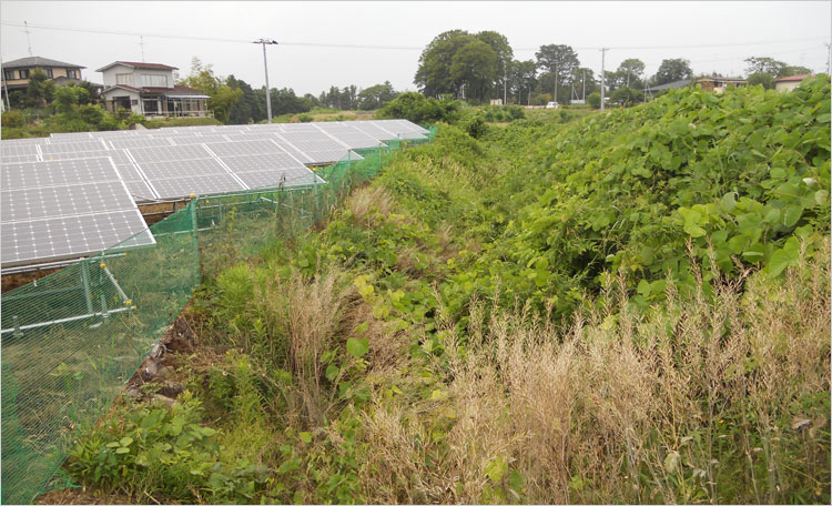 八幡崎城の堀跡