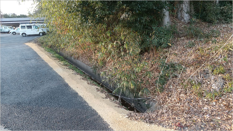 湿地帯に囲まれた城館