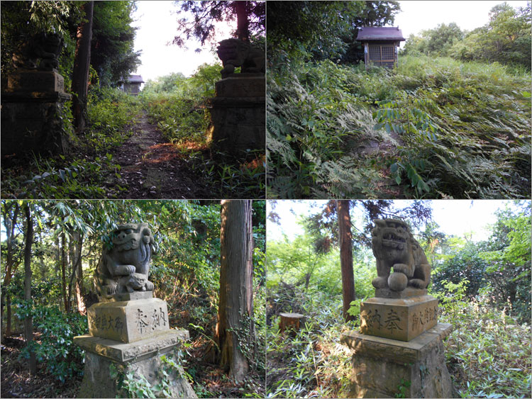 顕国魂神社の社殿